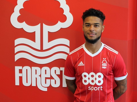 bridcutt signs